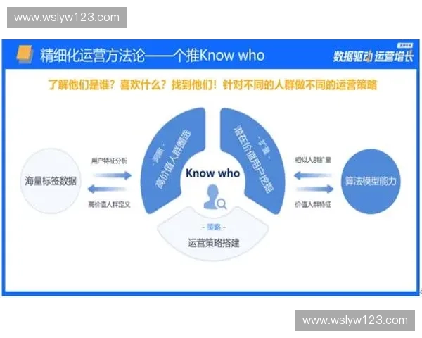 2026年后赛事票务系统数据处理流向将成为评价运营合规性的核心标尺